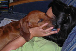 FATIMA BAHATI MANABOMI _ Rhodesian Ridgeback