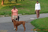 FATIMA BAHATI MANABOMI _ Rhodesian Ridgeback