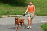 FATIMA BAHATI MANABOMI _ Rhodesian Ridgeback