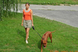 FATIMA BAHATI MANABOMI _ Rhodesian Ridgeback