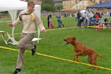 FATIMA BAHATI MANABOMI _ Rhodesian Ridgeback