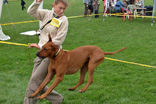 FATIMA BAHATI MANABOMI _ Rhodesian Ridgeback