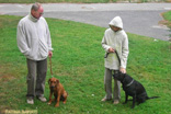 FATIMA BAHATI MANABOMI _ Rhodesian Ridgeback