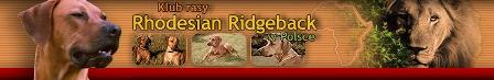 Klub rasy Rhodesian Ridgeback